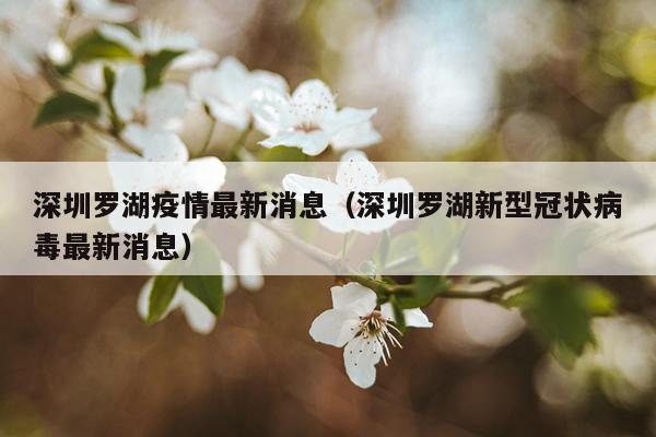 深圳罗湖疫情最新消息(深圳罗湖新型冠状病毒最新消息)