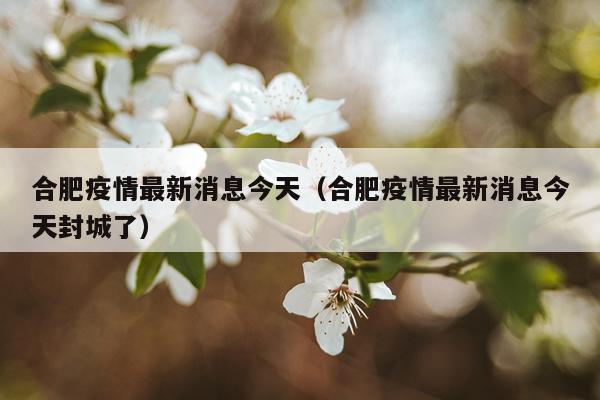 合肥疫情最新消息今天(合肥疫情最新消息今天封城了)