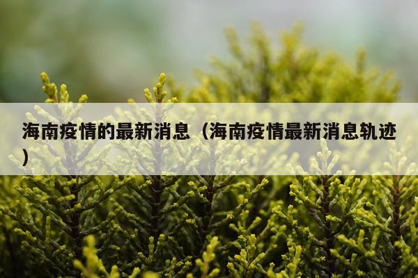 海南疫情的最新消息(海南疫情最新消息轨迹)