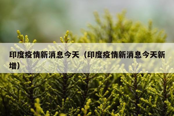 印度疫情新消息今天(印度疫情新消息今天新增)