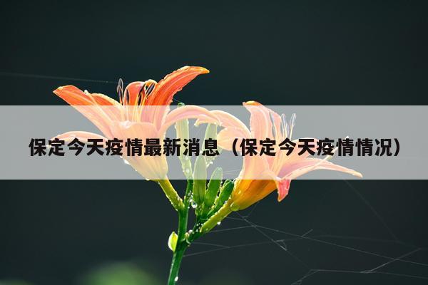 保定今天疫情最新消息(保定今天疫情情况)