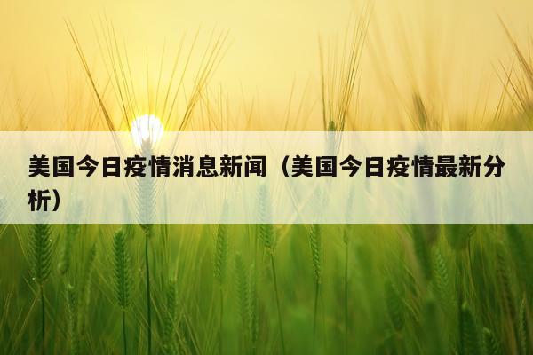 美国今日疫情消息新闻(美国今日疫情最新分析)
