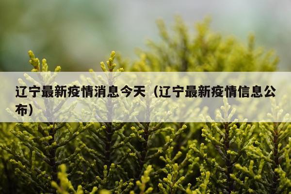 辽宁最新疫情消息今天(辽宁最新疫情信息公布)