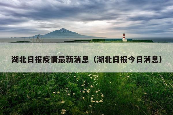 湖北日报疫情最新消息(湖北日报今日消息)