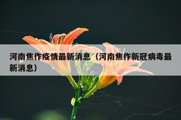 河南焦作疫情最新消息(河南焦作新冠病毒最新消息)