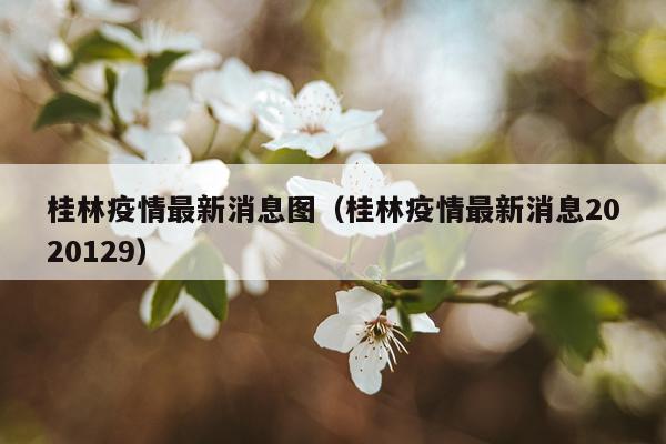 桂林疫情最新消息图（桂林疫情最新消息2020129）