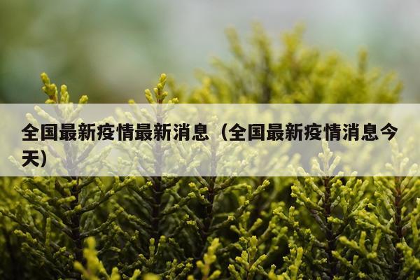 全国最新疫情最新消息(全国最新疫情消息今天)
