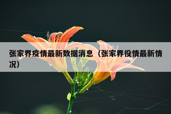 张家界疫情最新数据消息(张家界役情最新情况)