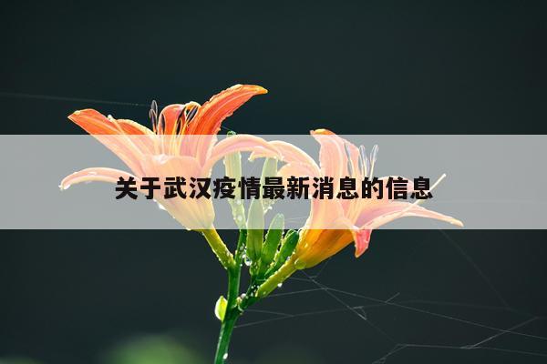 关于武汉疫情最新消息的信息