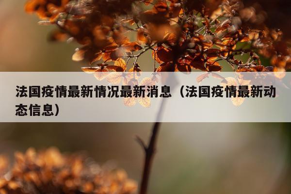 法国疫情最新情况最新消息(法国疫情最新动态信息)
