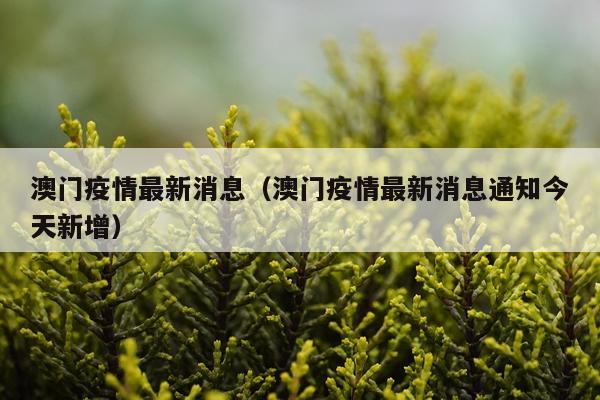 澳门疫情最新消息(澳门疫情最新消息通知今天新增)