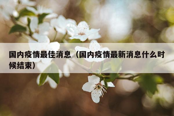 国内疫情最佳消息(国内疫情最新消息什么时候结束)