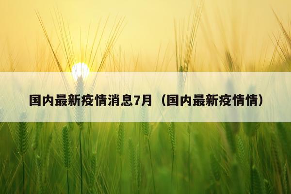 国内最新疫情消息7月(国内最新疫情情)