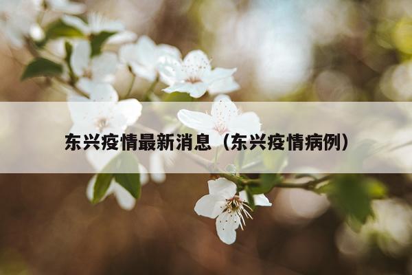 东兴疫情最新消息(东兴疫情病例)