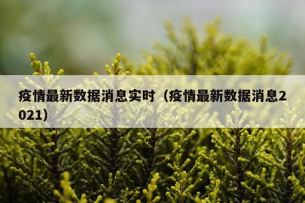 疫情最新数据消息实时(疫情最新数据消息2021)