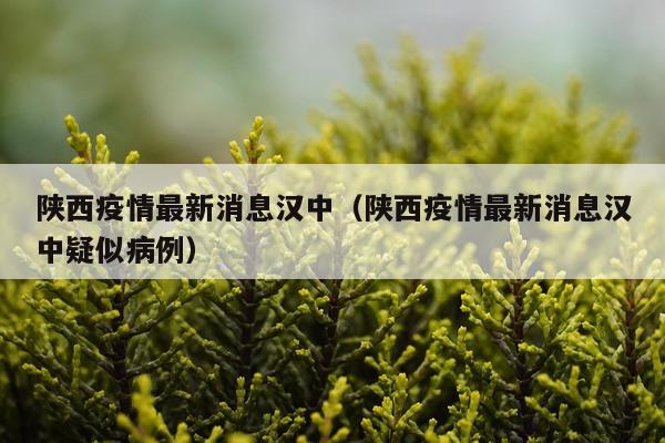 陕西疫情最新消息汉中(陕西疫情最新消息汉中疑似病例)
