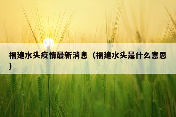 福建水头疫情最新消息(福建水头是什么意思)