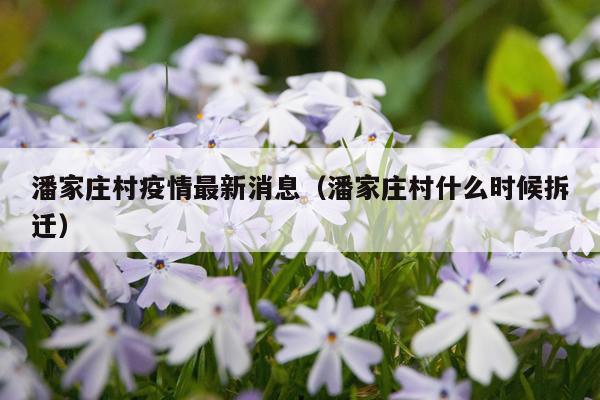 潘家庄村疫情最新消息(潘家庄村什么时候拆迁)