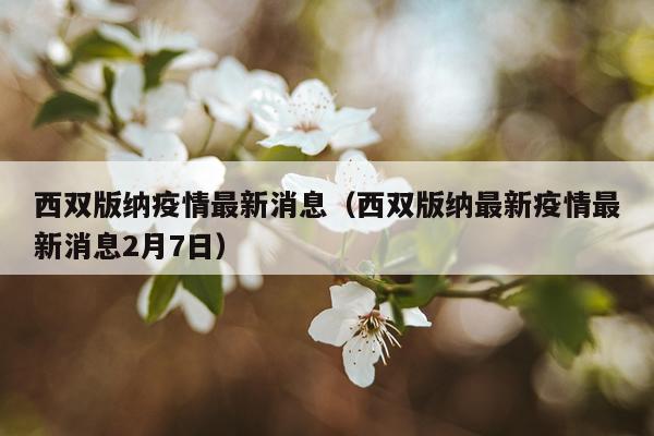 西双版纳疫情最新消息(西双版纳最新疫情最新消息2月7日)