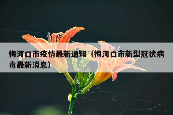 梅河口市疫情最新通知(梅河口市新型冠状病毒最新消息)