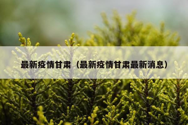 最新疫情甘肃(最新疫情甘肃最新消息)