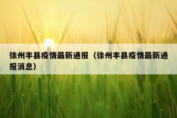 徐州丰县疫情最新通报(徐州丰县疫情最新通报消息)