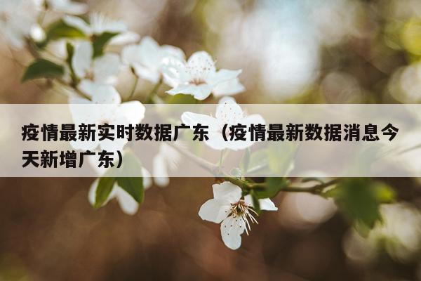 疫情最新实时数据广东(疫情最新数据消息今天新增广东)