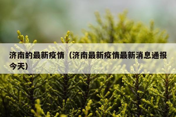 济南的最新疫情(济南最新疫情最新消息通报今天)