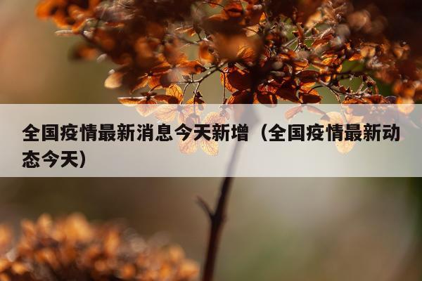 全国疫情最新消息今天新增(全国疫情最新动态今天)