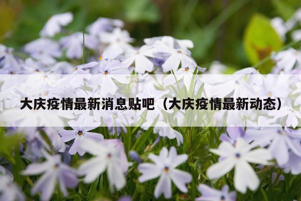 大庆疫情最新消息贴吧(大庆疫情最新动态)