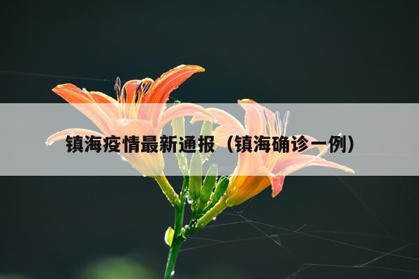 镇海疫情最新通报(镇海确诊一例)