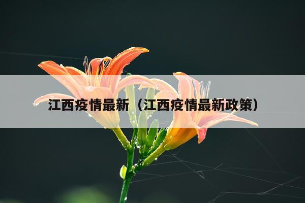 江西疫情最新(江西疫情最新政策)