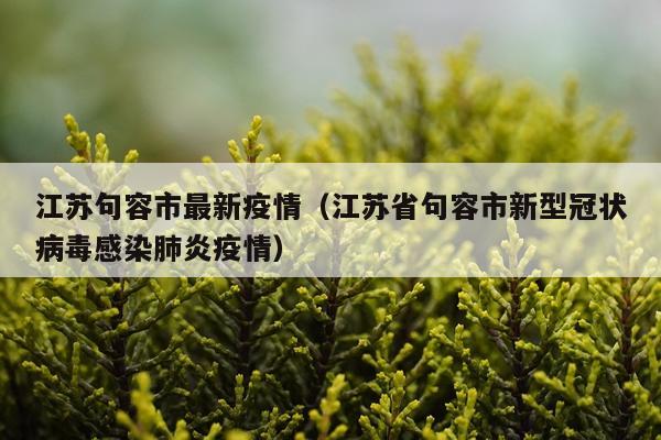 江苏句容市最新疫情(江苏省句容市新型冠状病毒感染肺炎疫情)