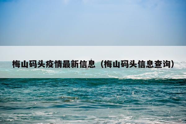 梅山码头疫情最新信息(梅山码头信息查询)