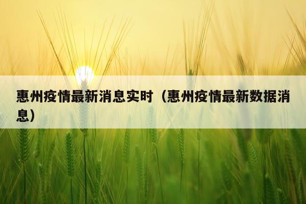 惠州疫情最新消息实时(惠州疫情最新数据消息)