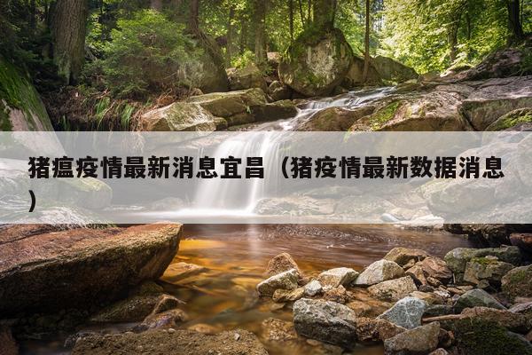 猪瘟疫情最新消息宜昌(猪疫情最新数据消息)