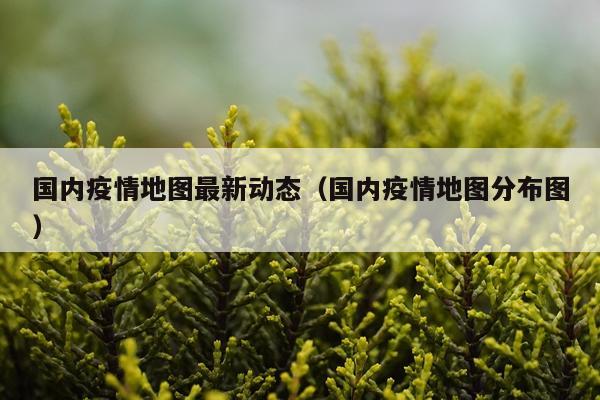 国内疫情地图最新动态(国内疫情地图分布图)