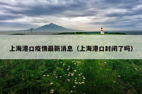 上海港口疫情最新消息(上海港口封闭了吗)