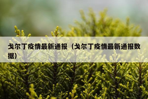 戈尔丁疫情最新通报(戈尔丁疫情最新通报数据)