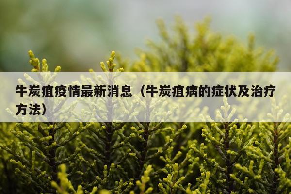 牛炭疽疫情最新消息（牛炭疽病的症状及治疗方法）