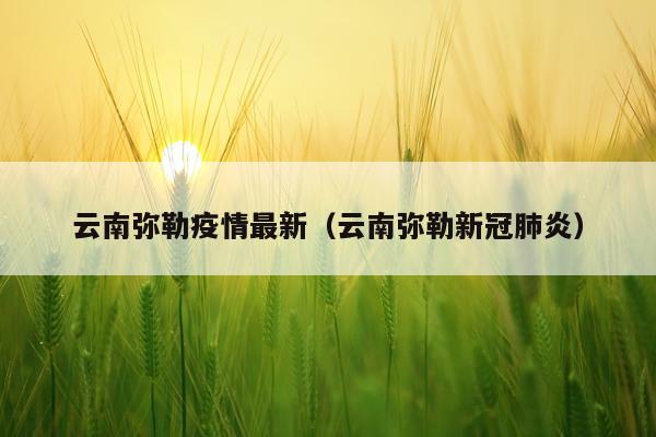 云南弥勒疫情最新（云南弥勒新冠肺炎）