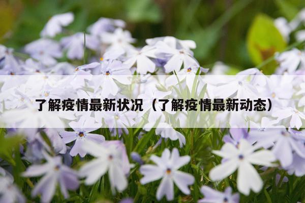 了解疫情最新状况(了解疫情最新动态)