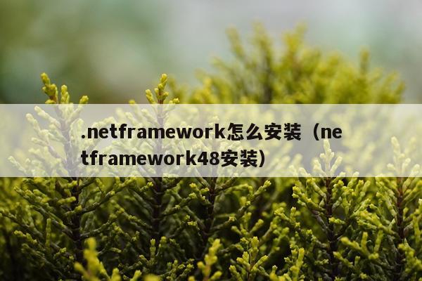 .netframework怎么安装(netframework48安装)