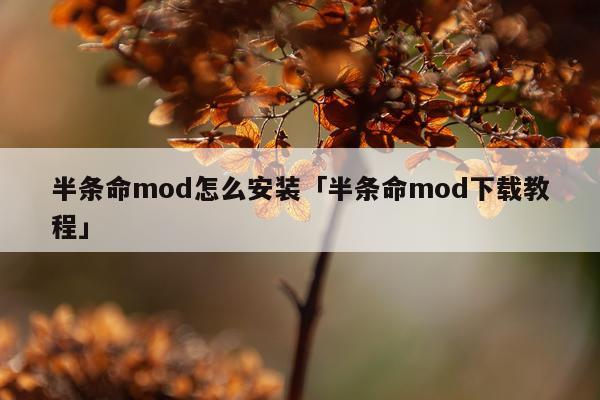 半条命mod怎么安装「半条命mod下载教程」