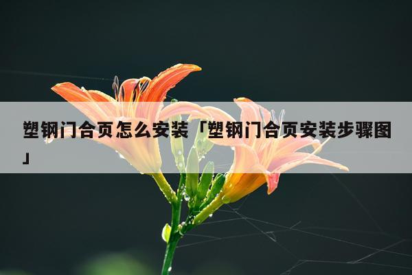 塑钢门合页怎么安装「塑钢门合页安装步骤图」