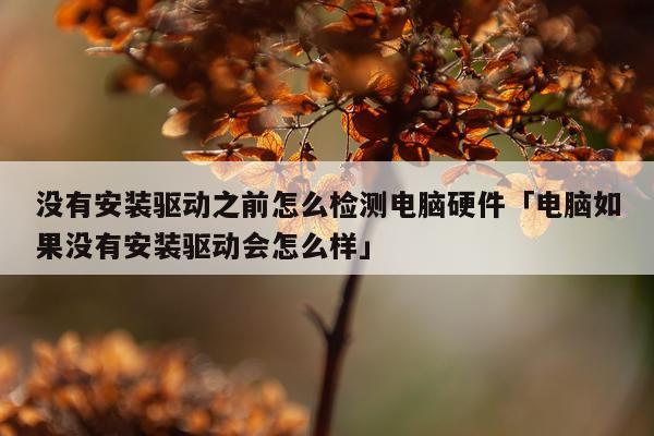 没有安装驱动之前怎么检测电脑硬件「电脑如果没有安装驱动会怎么样」