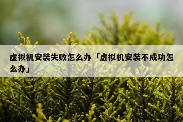 虚拟机安装失败怎么办「虚拟机安装不成功怎么办」