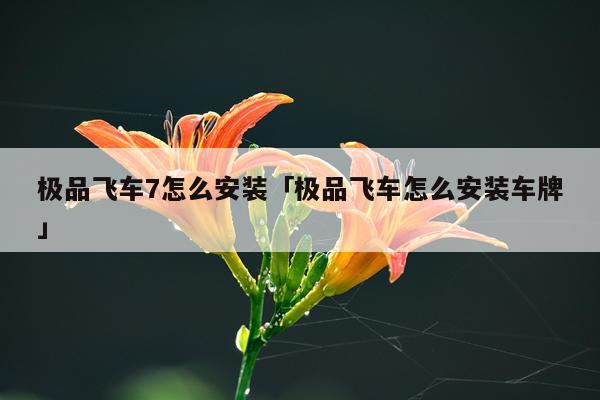 极品飞车7怎么安装「极品飞车怎么安装车牌」