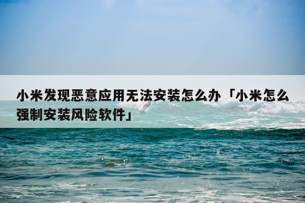 小米发现恶意应用无法安装怎么办「小米怎么强制安装风险软件」