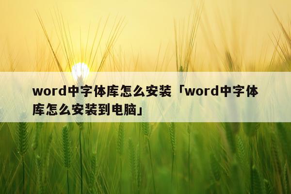 word中字体库怎么安装「word中字体库怎么安装到电脑」